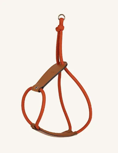 HOZI Essential Adjustable No-Pull Pet Harness for Maximum Comfort and Control