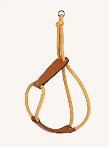 HOZI Essential Adjustable No-Pull Pet Harness for Maximum Comfort and Control